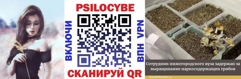 Галлюциногенные грибы Magic Shrooms  Староминская 